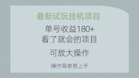最新试玩挂机项目 单号收益180+看了就会的项目，可放大操作 操作简单