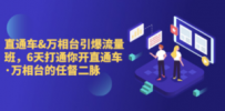 直通车+万相台引爆流量班，6天打通你开直通车·万相台的任督 二脉