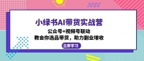 小绿书AI带货实战营：公众号+视频号联动，教会你选品带货，助力副业增收