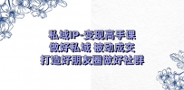 私域IP-变现高手课：做好私域 被动成交，打造好朋友圈做好社群（18节）