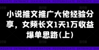 小说推文推广大佬经验分享，女频长文1天1万收益爆单思路(上)