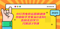 小红书电商·运营精通课，帮助新手卖家从0走向1 告别无效学习（7节视频课）