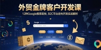 外贸金牌客户开发课，12种Google搜索密技，B2C平台逆向开发实战解析