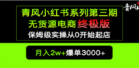 小红书无货源电商爆单终极版【视频教程+实战手册】保姆级实操从0起店爆单
