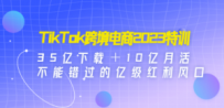 TikTok跨境电商2023特训：35亿下载＋10亿月活，不能错过的亿级红利风口