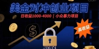 美金对冲创业项目，日收益1000-4000，小众暴力项目