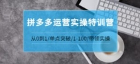 拼多多运营实操特训营：从0到1/单点突破/1-100/带领实操