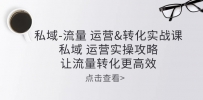 私域-流量 运营&转化实操课：私域 运营实操攻略 让流量转化更高效