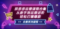 拼多多运营课程合集：从新手到运营进阶，轻松打爆爆款（全套系统课程）