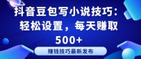 抖音豆包写小说技巧：轻松设置，每天赚取 500+【揭秘】