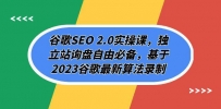 2023谷歌SEO 2.0实操全攻略：独立站询盘自由必备，谷歌最新算法解析（94节）
