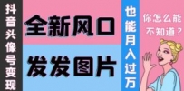 抖音头像号变现0基础教程：全新风口，发发图片也能变现月入10000+