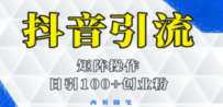 抖音引流术，矩阵操作，一天能引100多创业粉