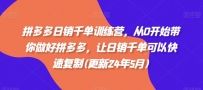 拼多多日销千单训练营：从零基础到高手的进阶指南(更新24年5月)