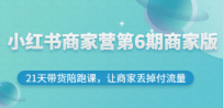 小红书商家营第6期商家版，21天带货陪跑课，让商家丢掉付流量