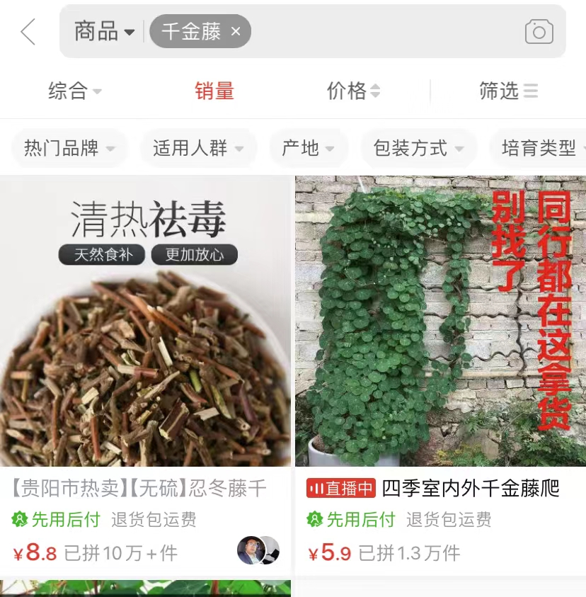 蹭热门卖令媛藤，一单8.8，月销入100万