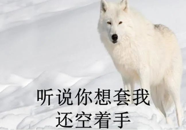 自动草稿 自动草稿