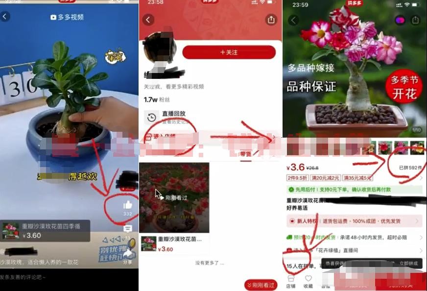 蓝海项目，具体拆解日出千单，日入3000的焦点玩法