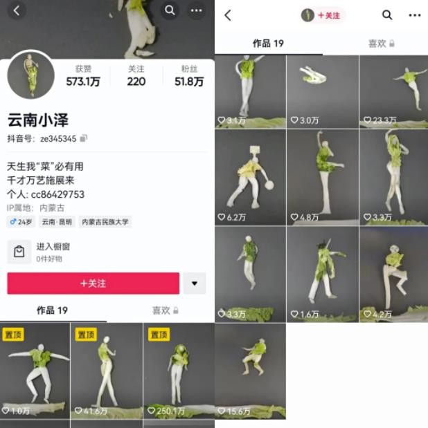 抖音最新挣钱风口头脑：定格动画视频制作实操教程，无私分享给小白学习