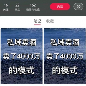 小红书高效引流新玩法，月销50w从矩阵开始