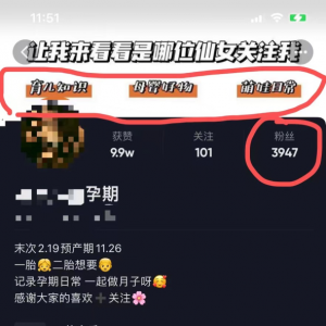 超易上手的虚拟资源玩法，一单利润199元，完全靠复制，无任何技术