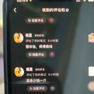 暴利的小吃培训赚钱项目，他现在月入10W+都是这样做的