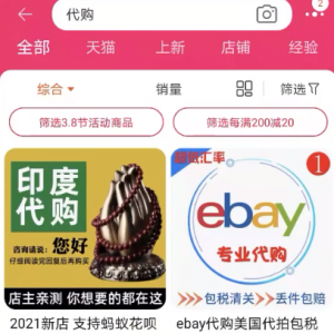 虚拟资料变现玩法，做的好月入万元，建议开始兼职后面可全职