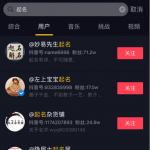 起名项目，一单300+很暴利 而且赚钱容易，玩法分享