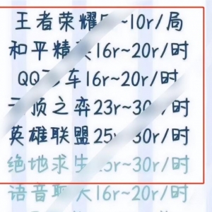 游戏陪玩项目，会聊天就能操作，一小时赚几十块，非常赚钱