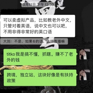 出海搞钱副业，赚老外的美金，最高一天搞2600美元