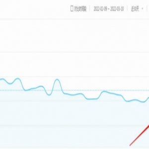 无脑搬砖暴利躺赚项目：卖别墅的设计图，月入3.8万