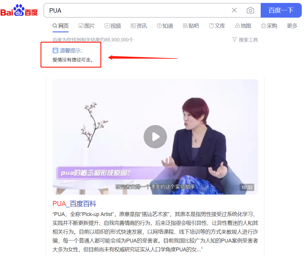 搭建PUA资源网站自动搞钱的玩法，偷偷摸摸的赚钱，一年10-20万之间