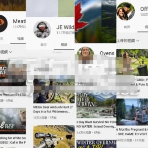 海外视频搬运变现，新手简单操作也能赚钱