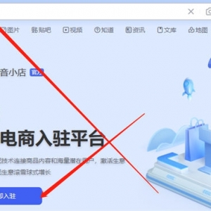 可月赚10万的项目门槛有点高