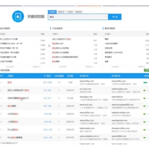 利用声音布局赚钱项目，无脑操作日赚300