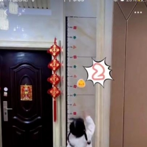 视频号带货，一条视频进账10W+