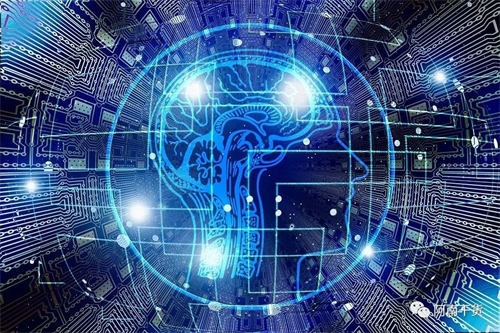 打造个人IP，是否需要付费报名学习？