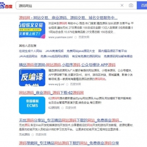 垂直细分领域的的暴利源码项目