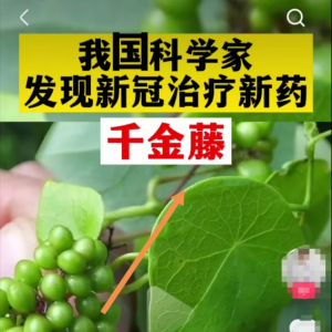 蹭高价值商业热点，被动引流精准粉月入10万