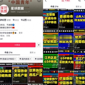 蓝海冷门中视频创作方向：数据控玩法实操教程，适合小白上手操作