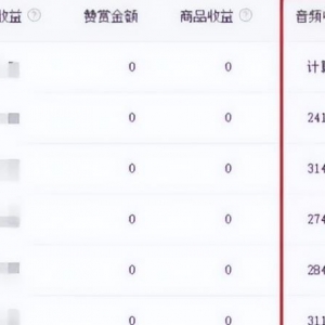 暴利音频搬砖项目，一天收益200-300
