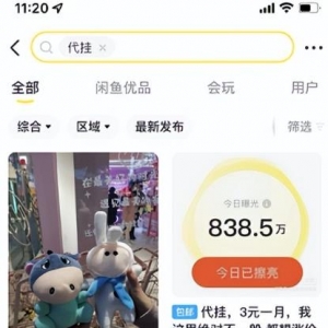 闲鱼代挂野路子项目，一部手机即可操作，发发信息也能赚钱