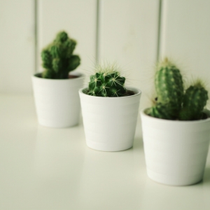 如何降低近视度数或恢复眼睛视力