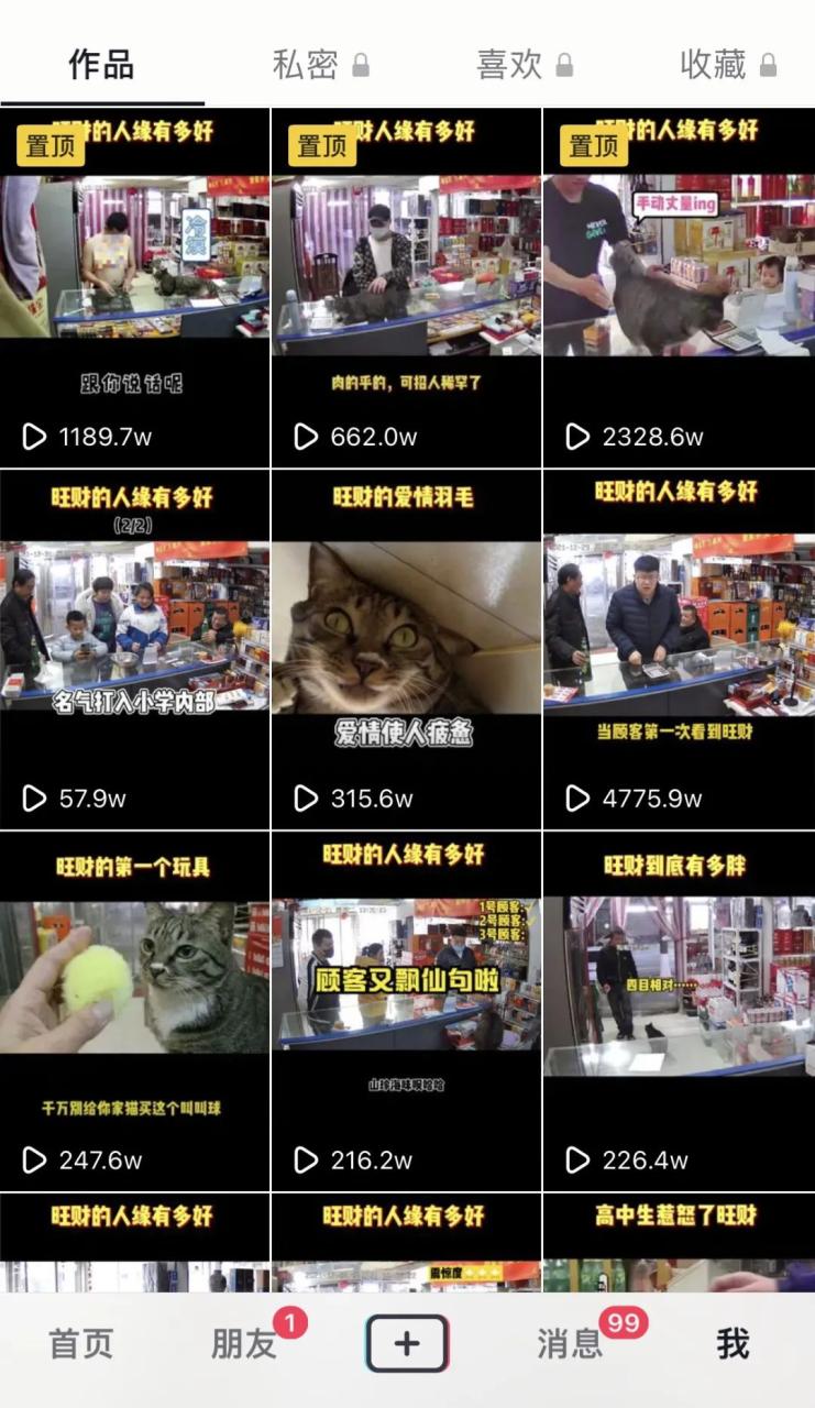 抖音被动收益3500+，中视频计划实操