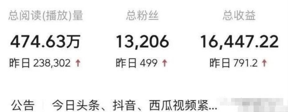 有累积效应可长期操作的中视频计划项目