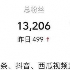 有累积效应可长期操作的中视频计划项目