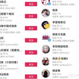 线上相亲项目拆解全过程：如何操作线上婚介所项目？无私整理分享与你