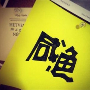 我们谈谈做垂直赛道还是杂货铺好？