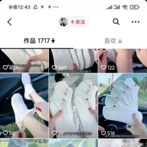 1700条作品，带货销售额60万+