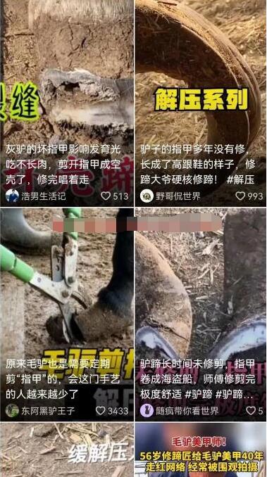 挖掘一个可以月入20W的抖音冷门项目